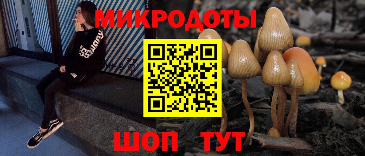 Псилоцибиновые грибы мицелий Топки